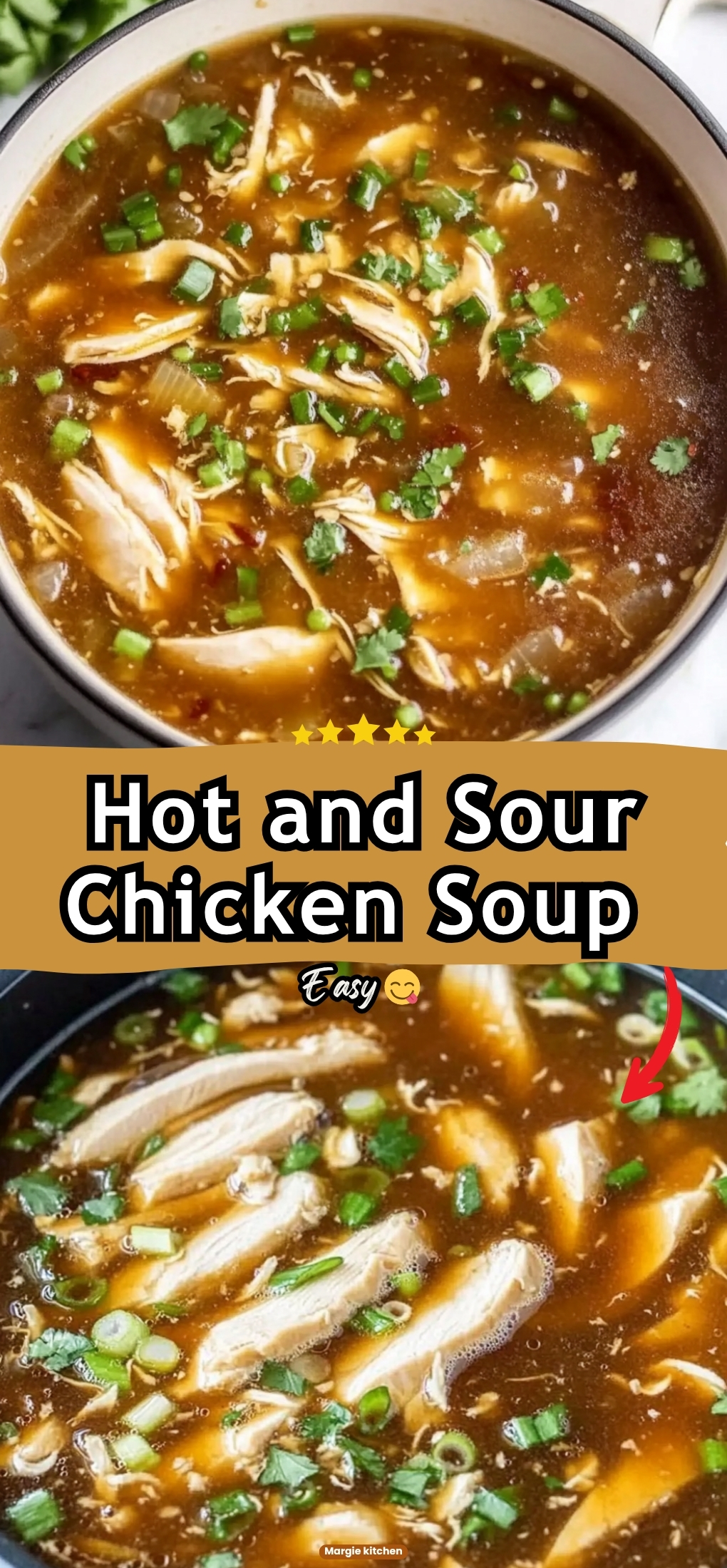 Hot and Sour Chicken Soup (Easy Recipe) 83 Hot and Sour Chicken Soup (Easy Recipe)
