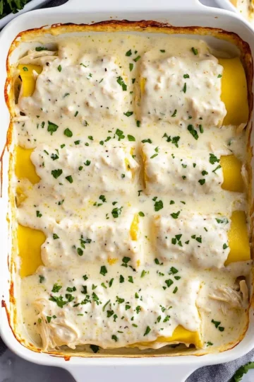 Chicken Alfredo Lasagna Rolls 85 Chicken Alfredo Lasagna Rolls